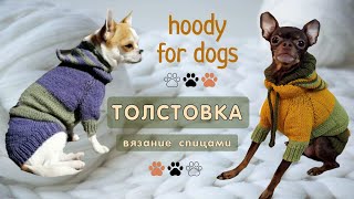 Как связать толстовку спицами, hoodie for dogs