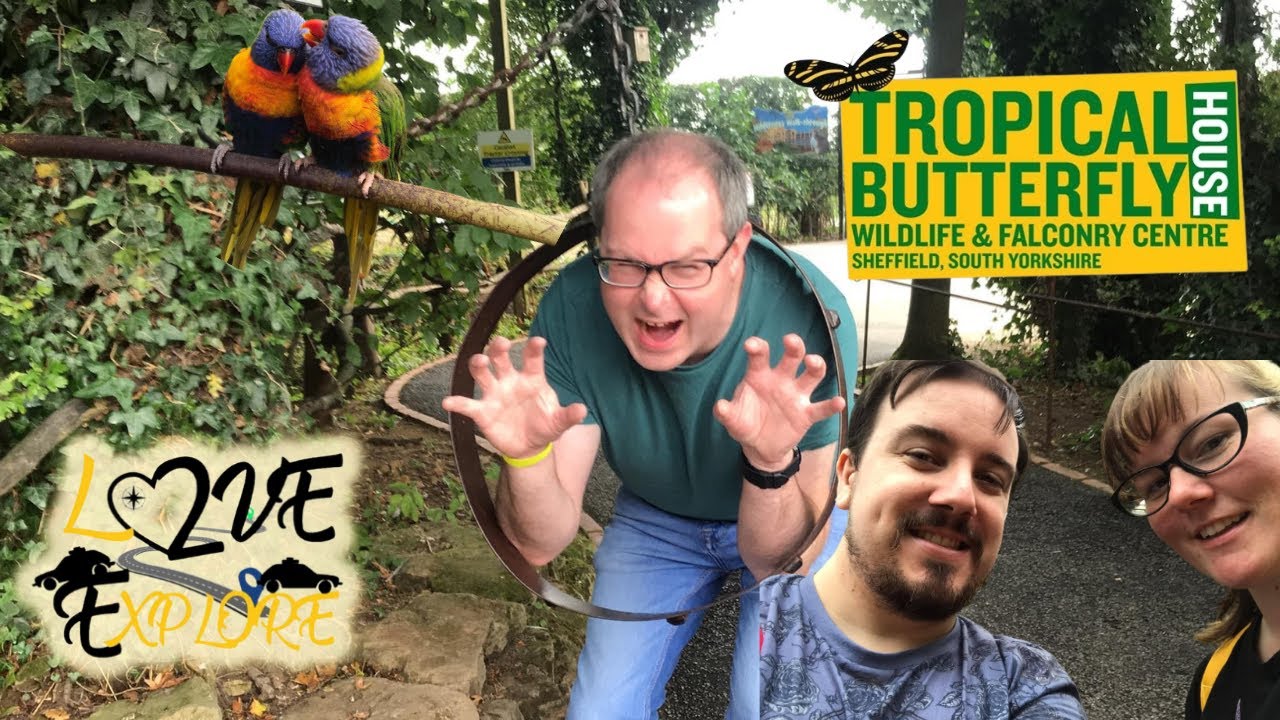 Tropical Butterfly House Wildlife & Falconry Centre Anston, Sheffield