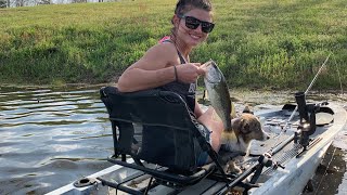 Kayak Bass Fishing with a Corgi Puppy!