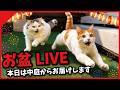 つくし生配信中にプール落ちたらアカンで!お盆ライブ開催!!
