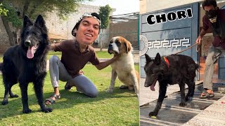 Hmara Purana Rocky Agea Heer Pair Complete