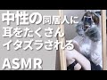 【 ASMR / 中性声 】コスプレをした同居人に耳をたくさんイタズラや耳かきされる 【 3Dio / 男性向け / 女性向け / シチュエーションボイス 】