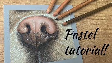 How to Draw a Dog Nose in Pastel Pencils - Realistic Pastel Tutorial