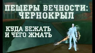 КАК ХОДИТЬ НА ЧЕРНОГО? ЧЕРНОКРЫЛ В ПВ ГАЙД ПОДРОБНО!