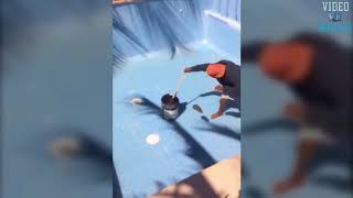 Man Vs Rat In Empty Pool