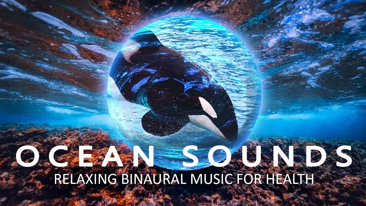 Underwater Relaxing Music Ocean Journey Relax with Dolphins and Whales ...
