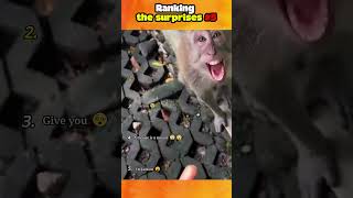 Ranking The Surprises - Great For Your Neck