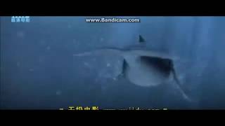 Perfect World Pictures 2008