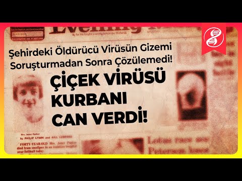 Video: Nadiren Hastalanma: 13 Adım (Resimlerle)