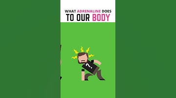 Thumbnail of What Does Adrenaline Do To Your Body? #shorts #education