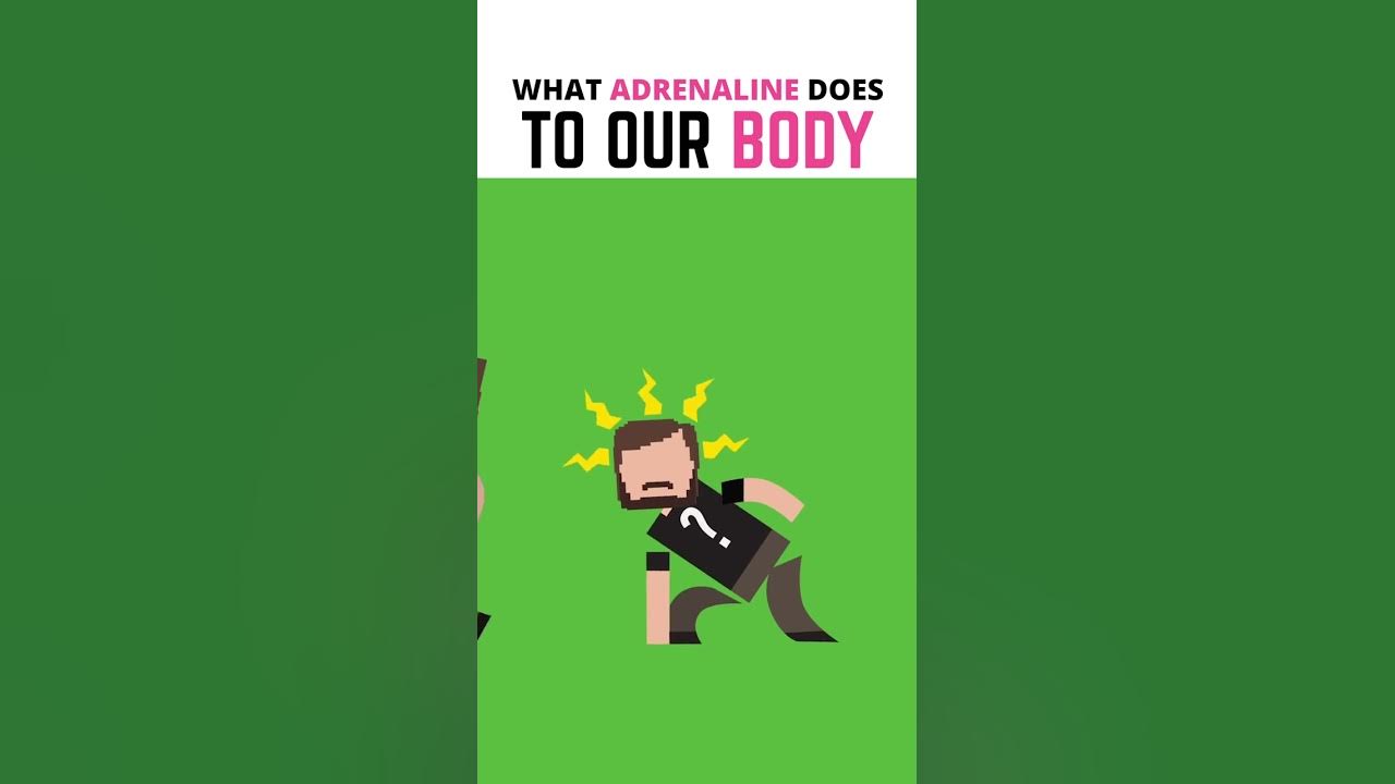 What Does Adrenaline Do To Your Body? #shorts #education