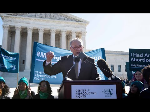 Chief justice hits Schumer for pro-abortion rally comments