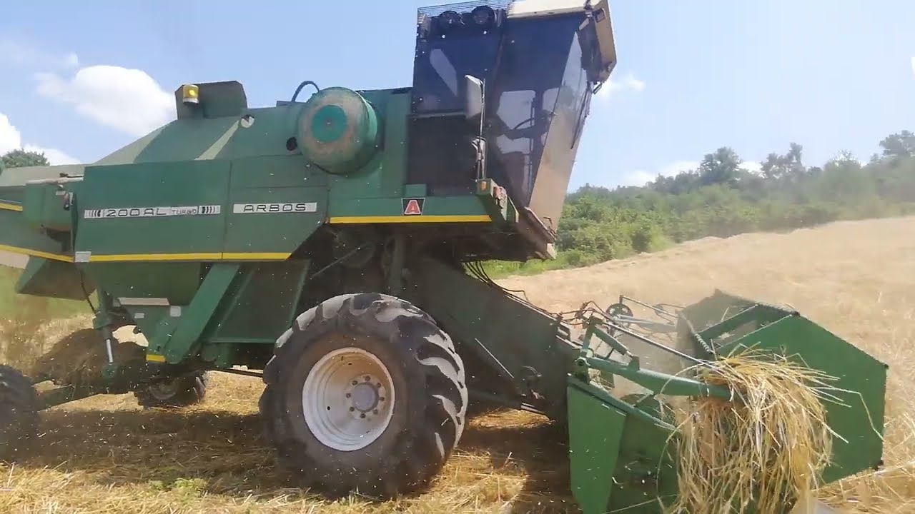Arbos 200AL al lavoro, trebbiatura Farro Bio 2022 nella Langa Piemontese.