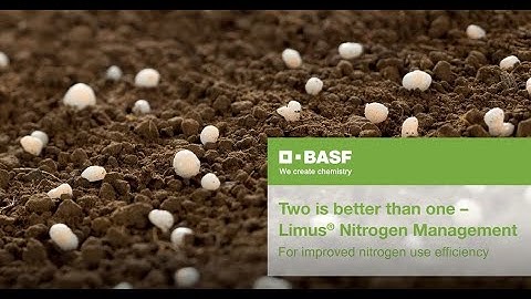 Limus® Nitrogen Management by BASF: Two is better than one