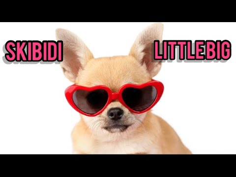 Little Big - Skibidi