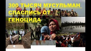 300 тысяч мусульман из Мьянма спаслись  в Бангладеше