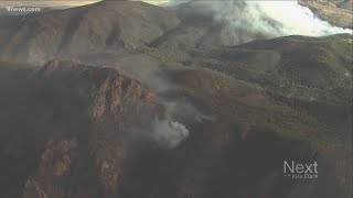 The unique risk beetle kill poses for Colorado wildfires