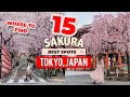 🌸 THE BEST SAKURA CHERRY BLOSSOM Locations in TOKYO 🇯🇵 Best Instagram Spots | Japan Travel Guide