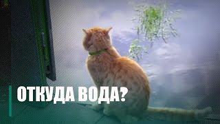 Наводнение, или грунтовые воды? Жители одной из улиц Гомеля не могут понять откуда у них вода