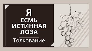 Я есмь истинная лоза. толкование. Максим Каскун