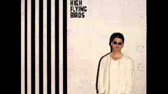 Noel Gallagher's High Flying Birds - The Dying of the Light Noel Gallagher's High Flying Birds - The Dying of the Light
