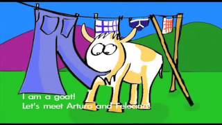 FARM ANIMALS - GOATS - CASALE IL SUGHERO