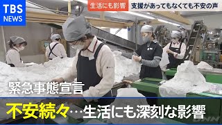 緊急事態宣言の影響で･･･ 不安続々【news23】