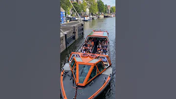 Love in Europe || Amsterdam || Netherlands ?? #shorts #trending #travel #foryou #shortsfeed #yt