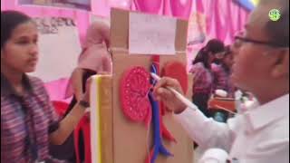 Topic - Human Excretory System #scienceexhibitionmodel #explorechannel #explained #viralvideo