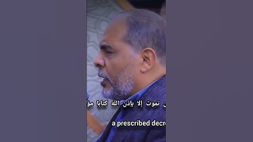 "خشوع يأسر القلوب | تلاوة عذبة للشيخ مصطفى اللاهوني من صلاة المغرب" #confix