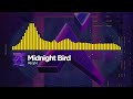 Riran  midnight bird official audio