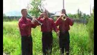 Video thumbnail of "Codrii Bucovinei din Suceava"