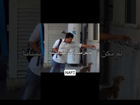 لم تكن مجبرا اكسبلور اقنباسات اقتباسات عبارات    لايك