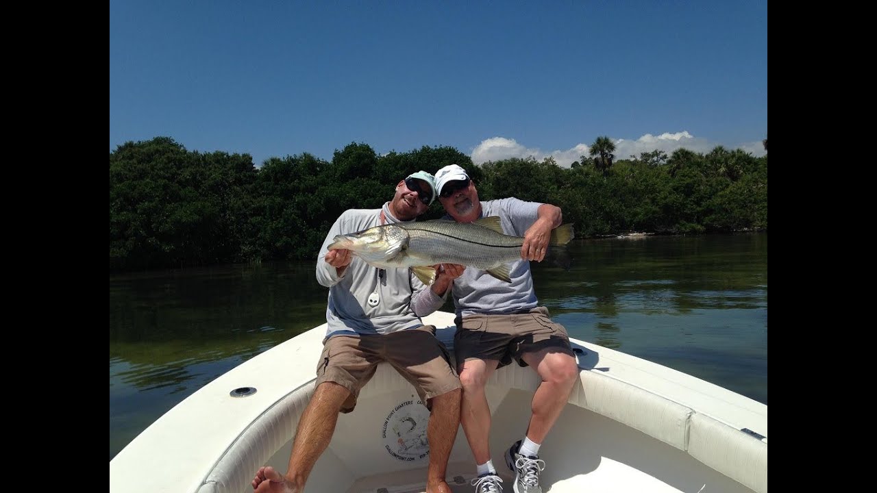 Snook Fishing Tampa Bay Charters Shallow Point Fishing Charters Captain ...