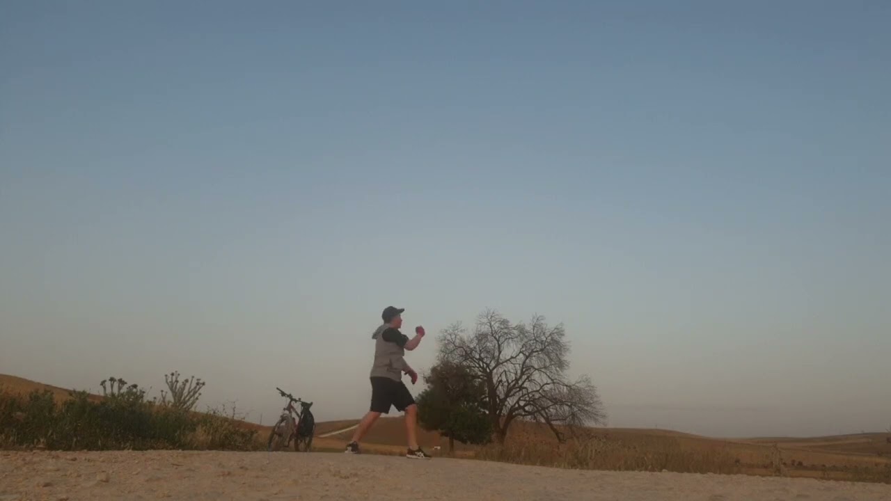 Martial arts Desert Fox Style Techniques by founder) 