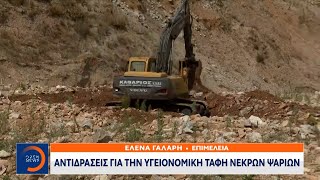 Βόλος: Αντιδράσεις για την υγειονομική ταφή νεκρών ψαριών | OPEN TV Ελληνική - OPEN
