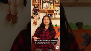 Download Lagu Belladona, una planta mortal 🍒 #belladona #plantavenenosa #halloween #monstruos #bogota MP3 Download Lagu Belladona, una planta mortal 🍒 #belladona #plantavenenosa #halloween #monstruos #bogota MP3