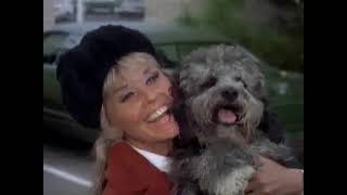 1972-73 Television Season 50th Anniversary: The Doris Day Show: &#39;It&#39;s a Dog&#39;s Life&#39;- Ms Day comments