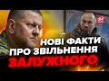 💥Залужного ЗВІЛЬНИЛИ ще в СІЧНІ? / Виплила ІНФОРМАЦІЯ про наступну ВІДСТАВКУ / Є передумови