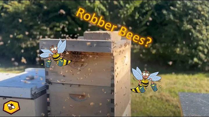 Stop Robber Bees: Preventing and Mitigating Robbing in Bee Colonies