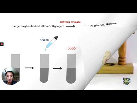 Talk Lab Factor affecting amylase enzyme activity