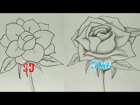 Ini Perbedaan Cara Menggambar Mawar Anak Sd Dan Sma Normal Youtube