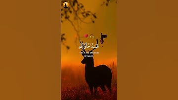 هذا خلق الله | تلاوة خاشعة وجميلة من القارئ ياسر الدوسري ❤️🥹🤍