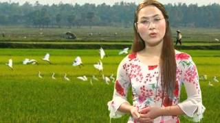 Bài thơ hay '' Duyên Quê