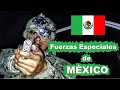 Top 10 Comandos mas Letales de MÉXICO