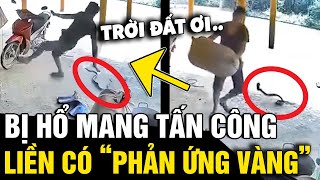 Bị 'RẮN HỔ MANG' ra đòn đột ngột, thanh niên có 'PHẢN ỨNG VÀNG' tự cứu lấy 1 mạng | Tin Nhanh 3 Phút