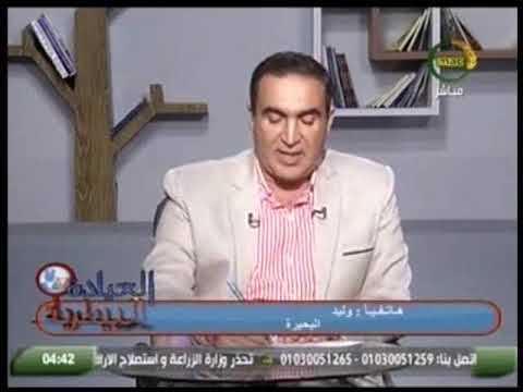 العيادة البيطرية تعرف على فوائد الجرعة المنشطة ضد الحمى القلاعية 27 11 2018