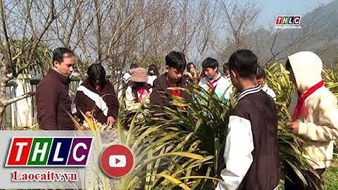 Có bao nhiêu tỉnh cho học sinh nghỉ học