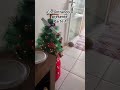 Encontrando o presente do Papai Noel/Parte1 #shortsyoutubeshorts #abrindopresentes #presentedenatal