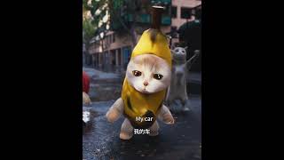 Elgato Reversed The Video2 #elgato #bananacat #memes #gingerbreadman